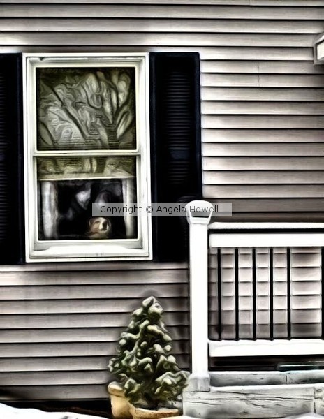 Buddy waiting