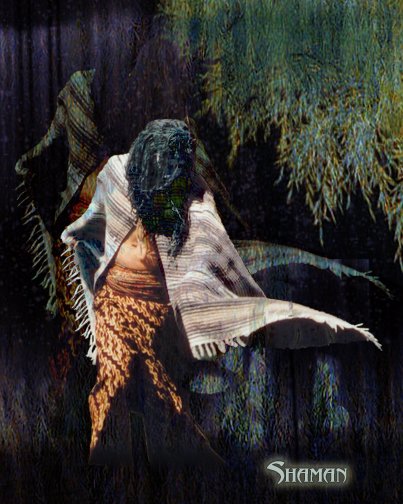 Shaman4 - Willow Whispers