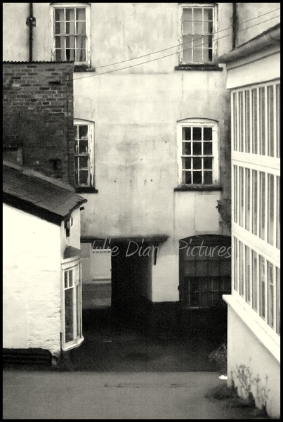 The Alley