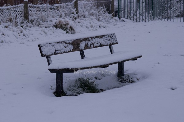 Snowy Seat