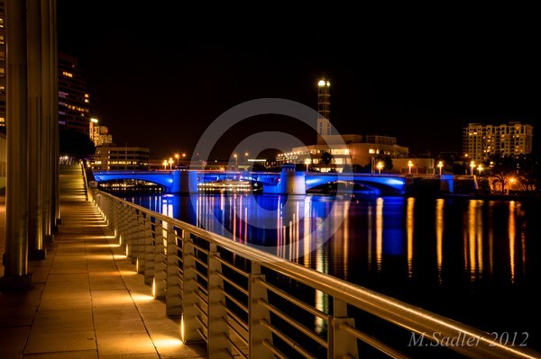 Downtown Tampa At Night