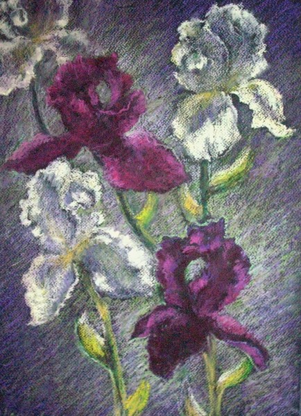 Irises