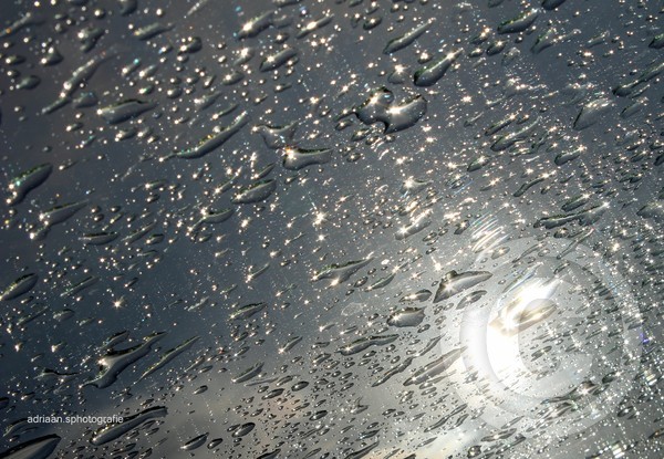 sunshine after rain