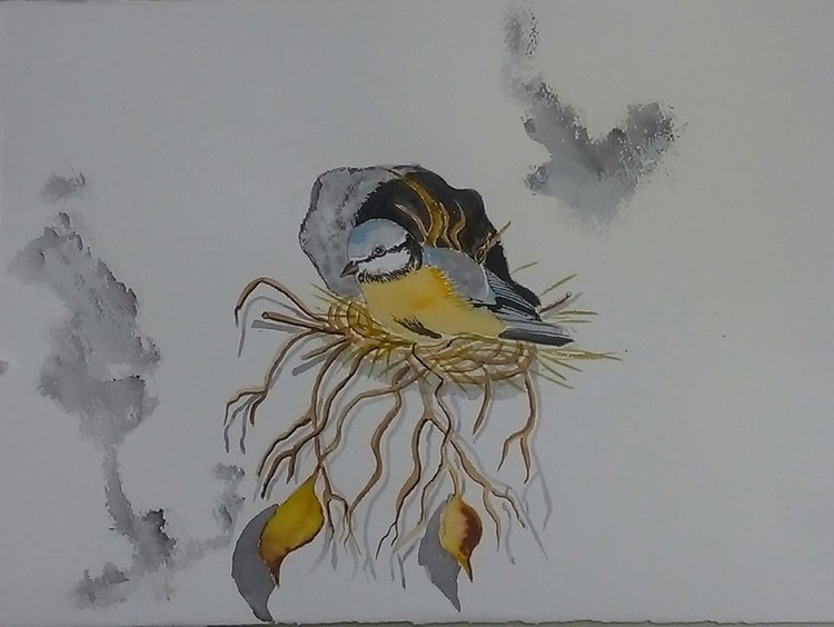 Little bird 