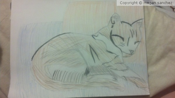 coco sleeping