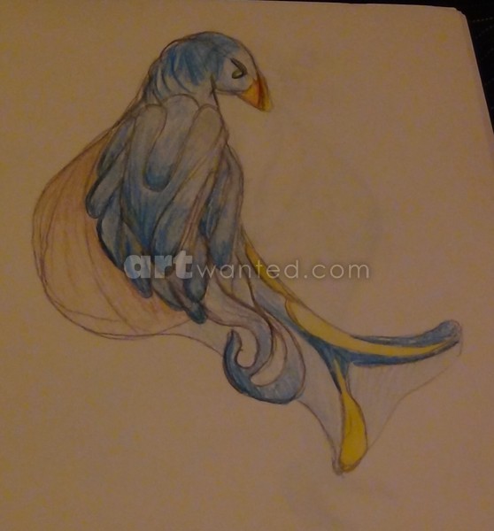 moonbird