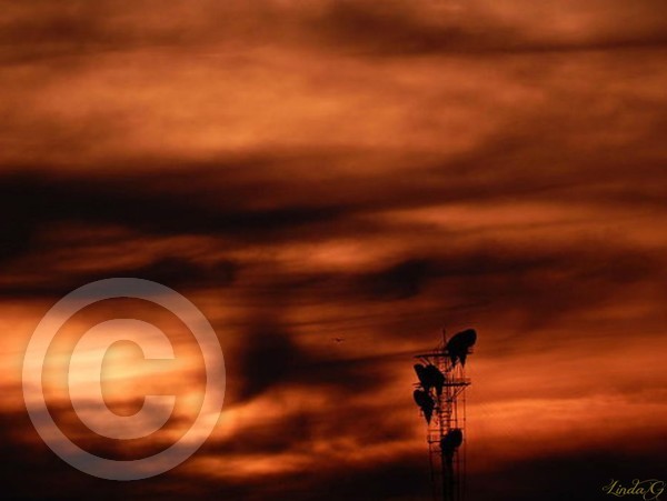 Fire in the Sky