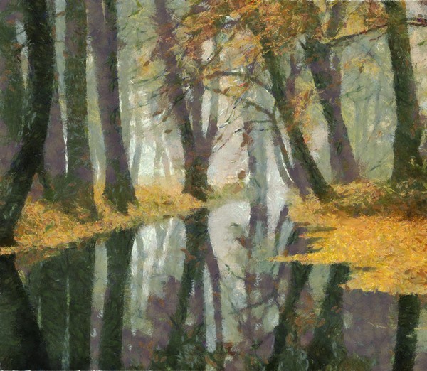 Autumn Brook
