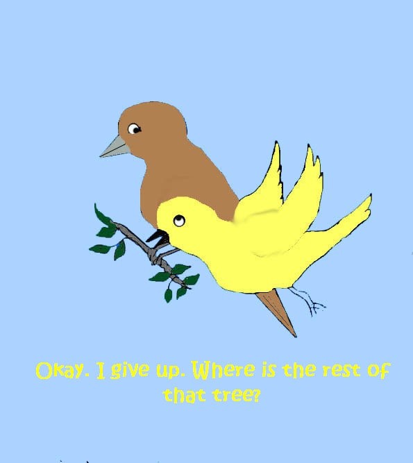 WHERES THE TREE