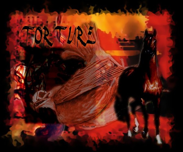 Torture