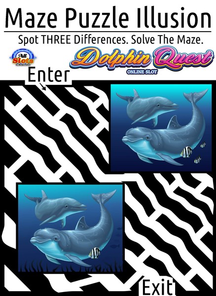 Dolphin Quest Maze