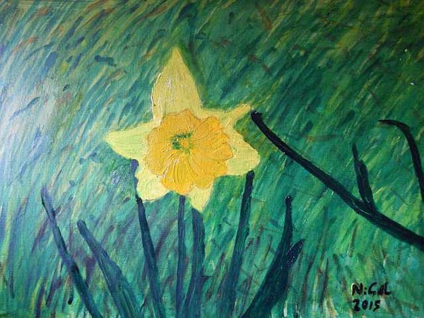 daffodil