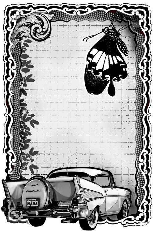 -Butterfly Car-