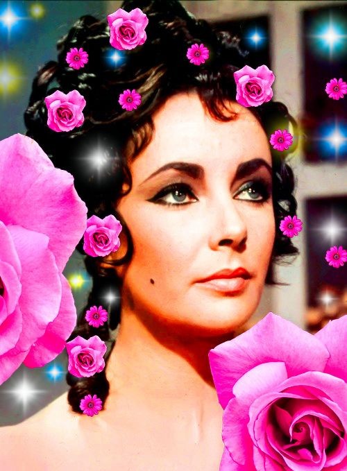 Elizabeth Roses
