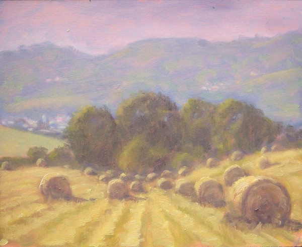 hazy hay day