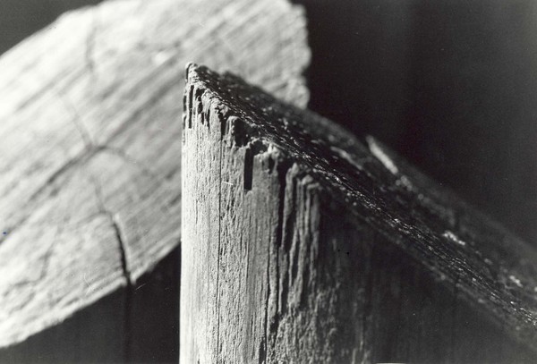 Logs