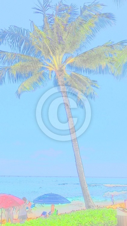 Resort Colors