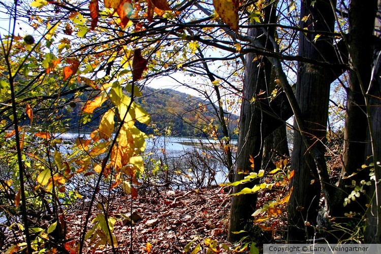 The River in Fall