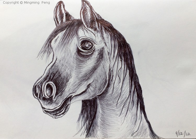 Sketch