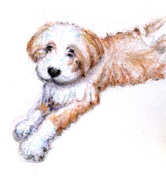 Otis Drawing