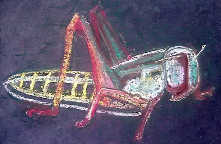 Locust Drawing