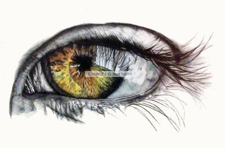 eye - biro on paper