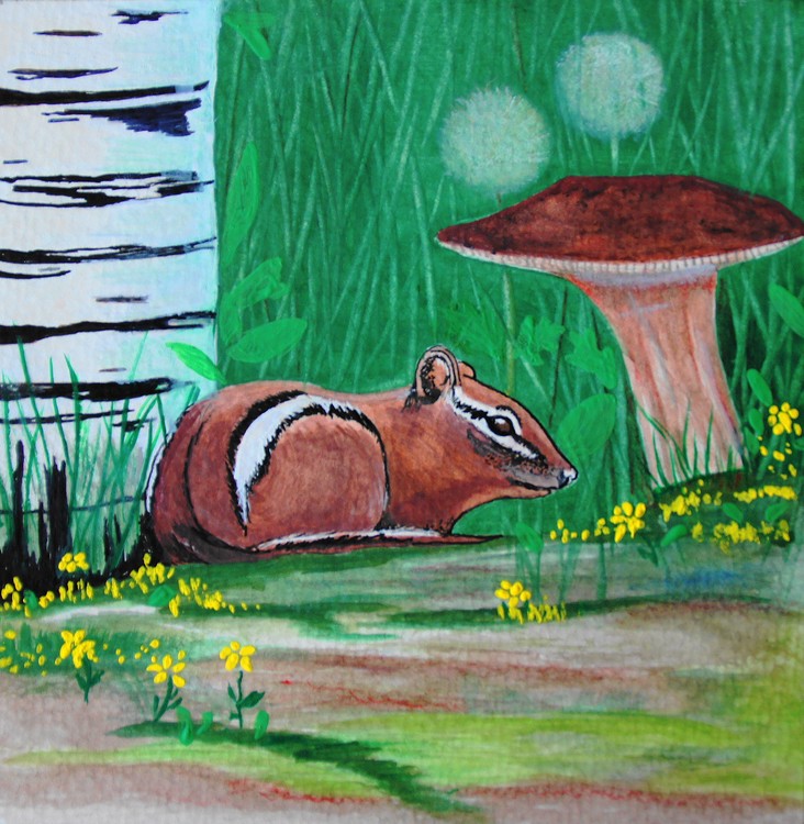 Chipmunk