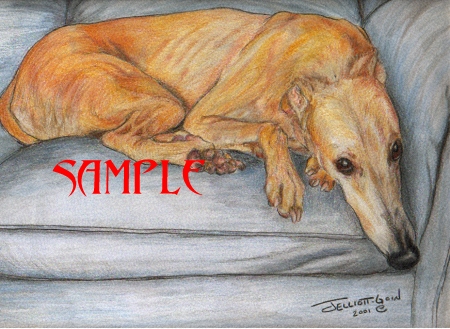Greyhound Print, BENCHWARMER