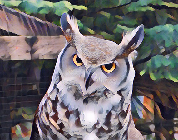 Wise Guy
