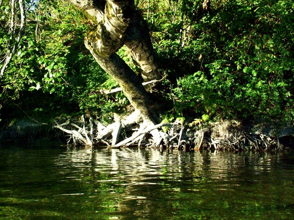 RIVER'S EDGE