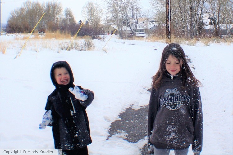 playing in the snow 