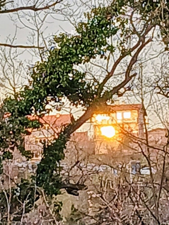 sun glare