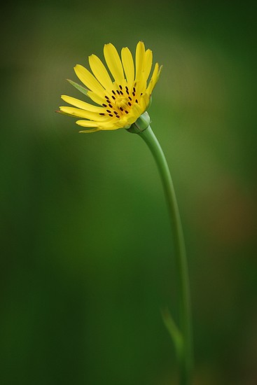 Reaching Up