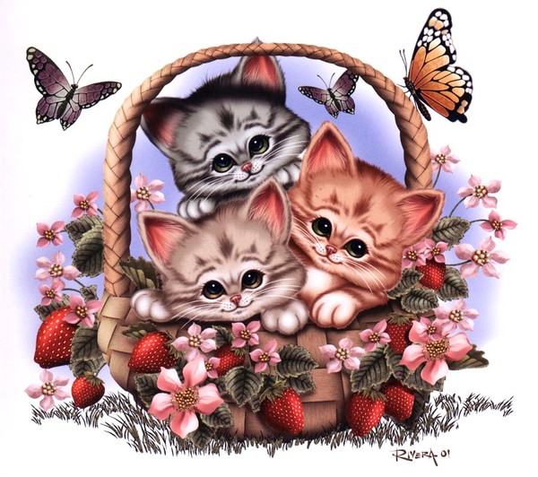 Kitties