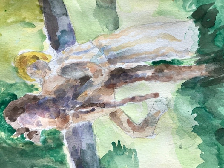 The Pasture