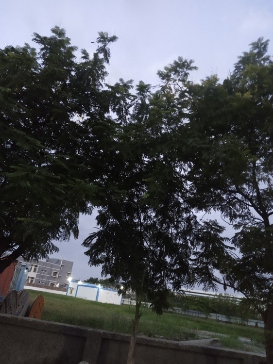 IMG 20200721 194005