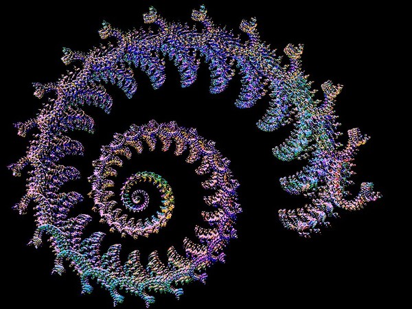 Spiral  Dragons