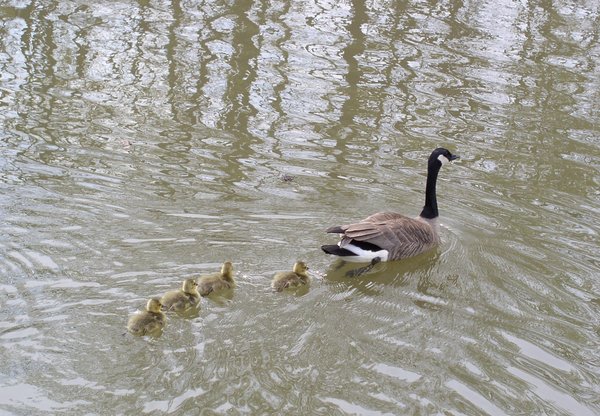 Happy Mothers Day!