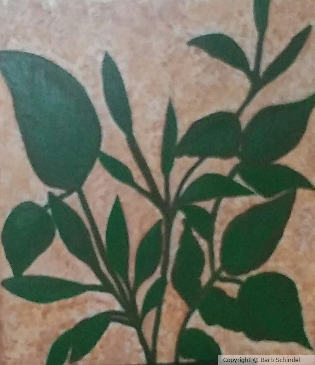 Leaves