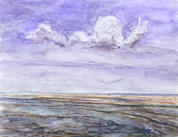Monomoy1