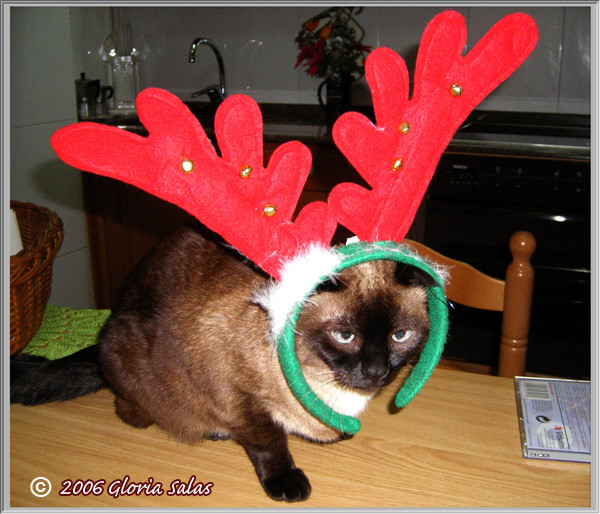 I hate Santa!