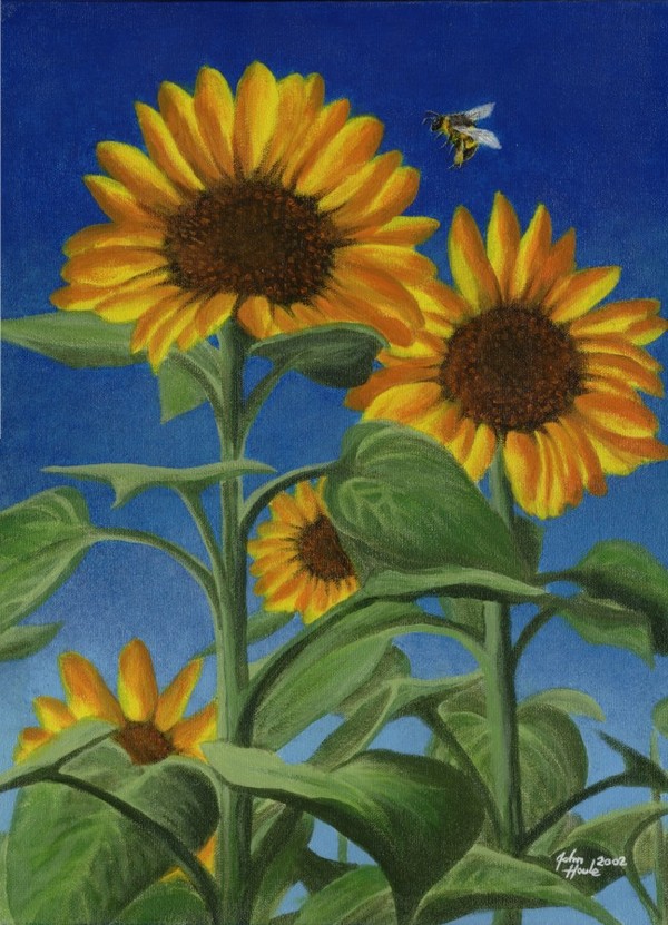 Sunny Bumble