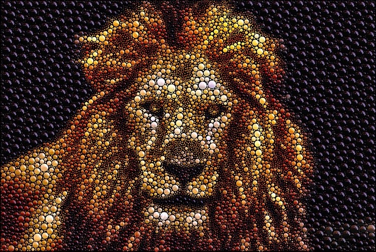 Lion Orbed