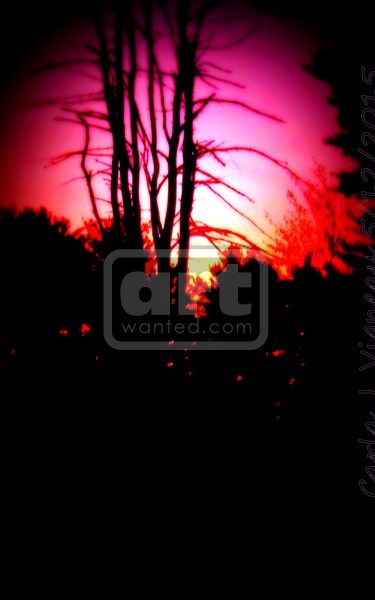 Twilight Glow