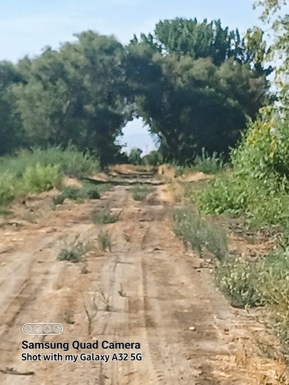 20220729 090846