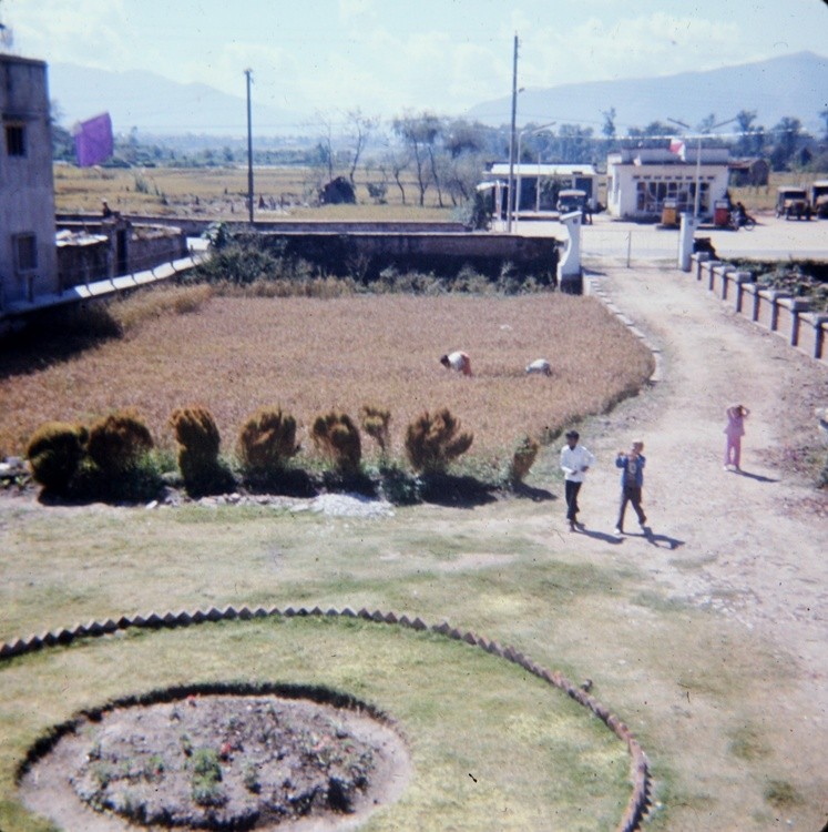 85543604-SLD-010-0024