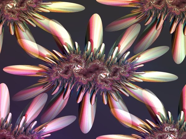 Floral004