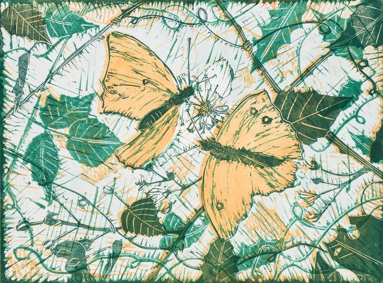 Two Butterflies on a Flower