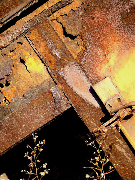 Beauty of Decay