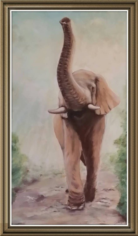 Disturbed Elephant